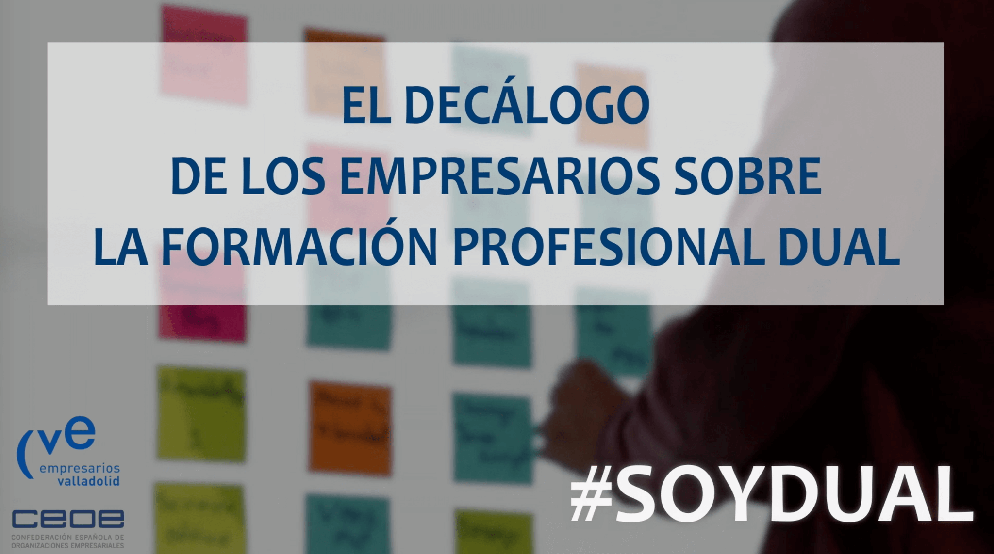 decalogo cve fp dual