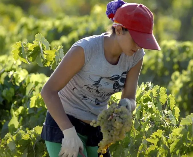 En el último trimestre se han dado de alta 8.700 mujeres para trabajar en el campo