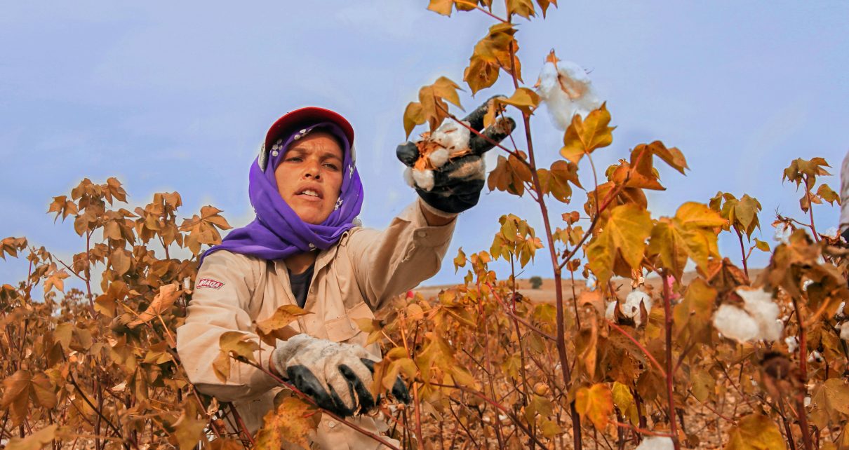 Mujer trabajando en el campo. Foto de Canan Yasar.