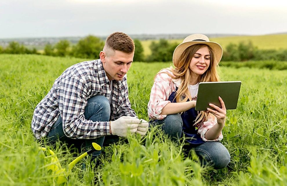 Una pareja de agricultores comprueba el estado fenológico de un cultivo en su explotación.mapa