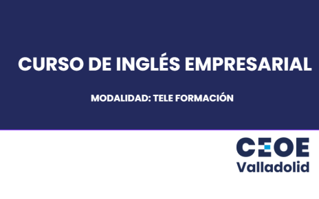 BANNER INGLES PROFESIONAL