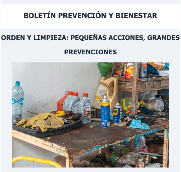 Boletín 12