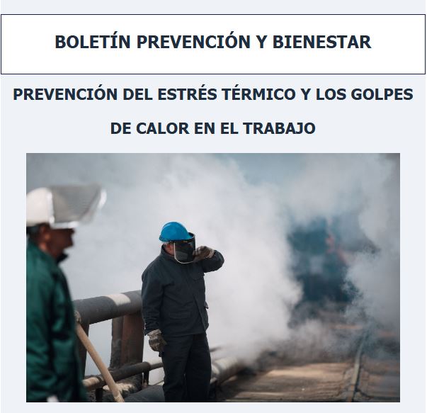 Boletín 22